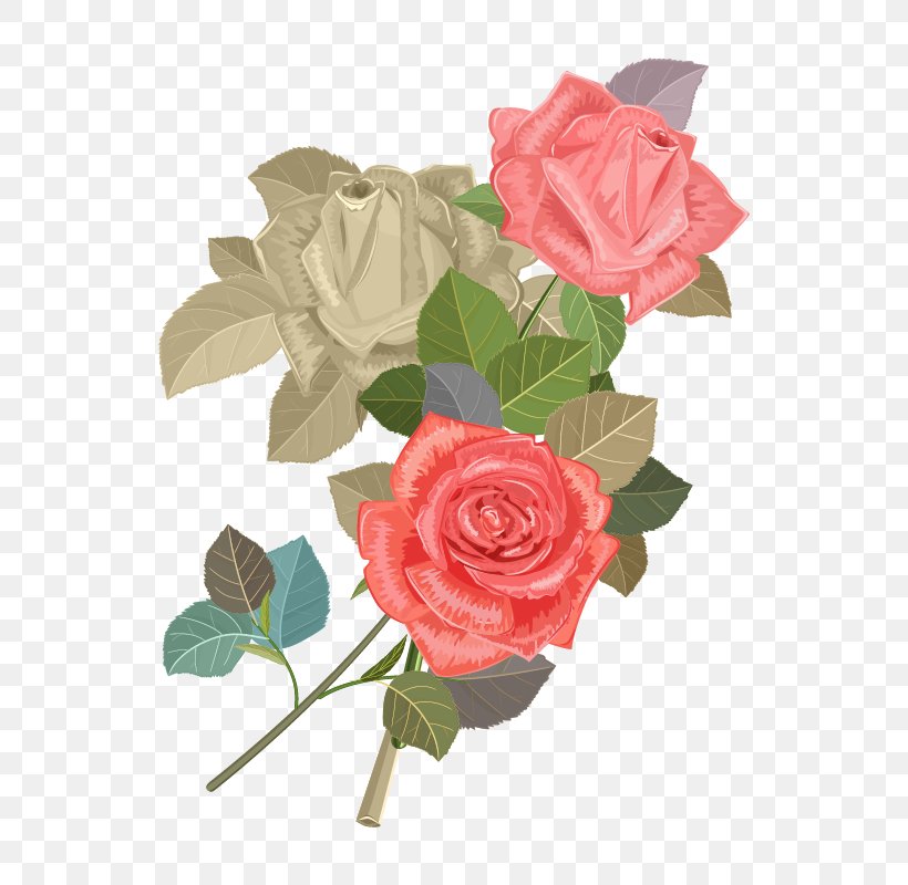 Wedding Invitation Beach Rose Flower Euclidean Vector, PNG, 800x800px, Wedding Invitation, Artificial Flower, Beach Rose, Convite, Cut Flowers Download Free