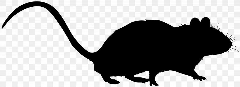 Whiskers Rat Cat Muroids Clip Art, PNG, 8000x2918px, Whiskers, Black M, Blackandwhite, Cat, Fauna Download Free