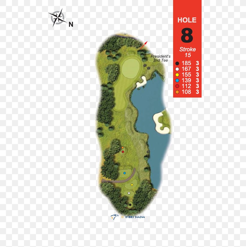 Willow Damme Golf & Country Club Primrose Par, PNG, 532x823px, Willow, Blue, Damme Golf Country Club, Damselflies, Golf Download Free