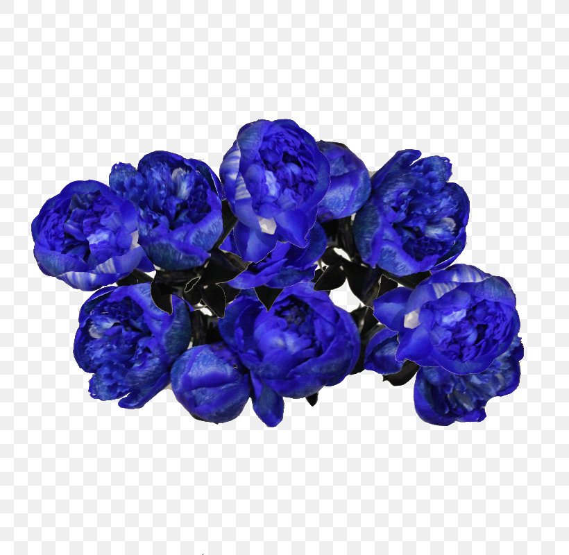 Blue Peony Flower Bouquet Dom Pionov Cut Flowers, PNG, 800x800px, Blue, Bellflower Family, Bride, Cobalt Blue, Color Download Free