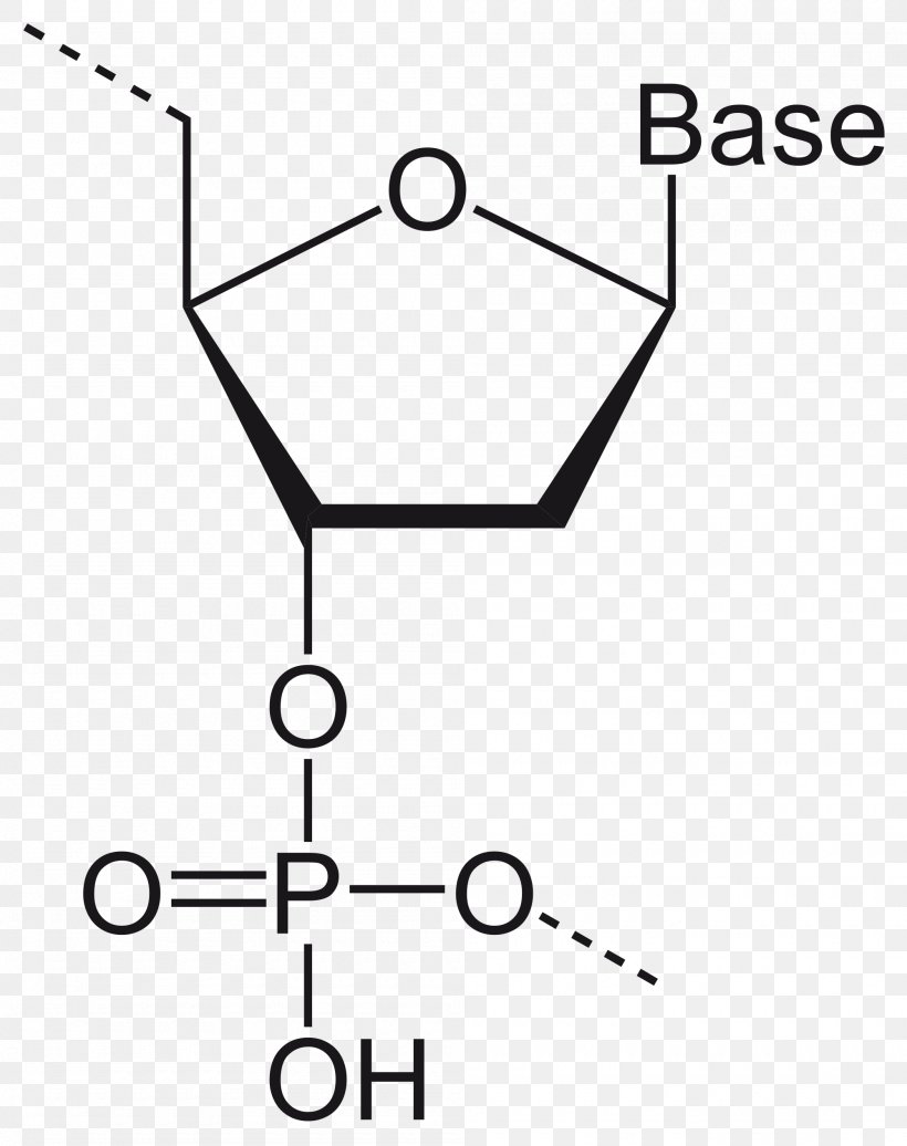 2,3-Bisphosphoglyceric Acid Ribose RNA Phosphorous Acid 1,3-Bisphosphoglyceric Acid, PNG, 2000x2528px, Ribose, Acid, Area, Black, Black And White Download Free