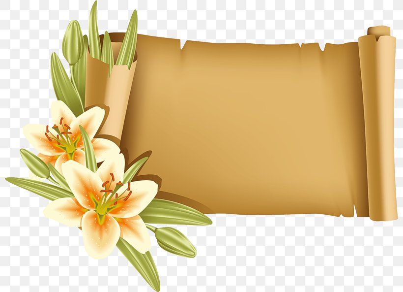 Afternoon Day Text, PNG, 800x593px, Afternoon, Animation, Avatar, Cut Flowers, Day Download Free