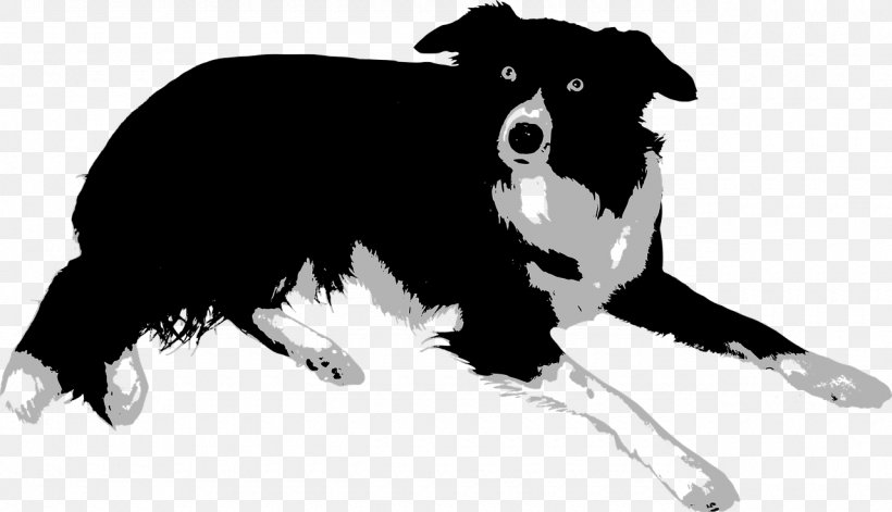 Border Collie Rough Collie Bearded Collie Puppy Clip Art, PNG, 1280x736px, Border Collie, Animal, Basset Hound, Bearded Collie, Black Download Free