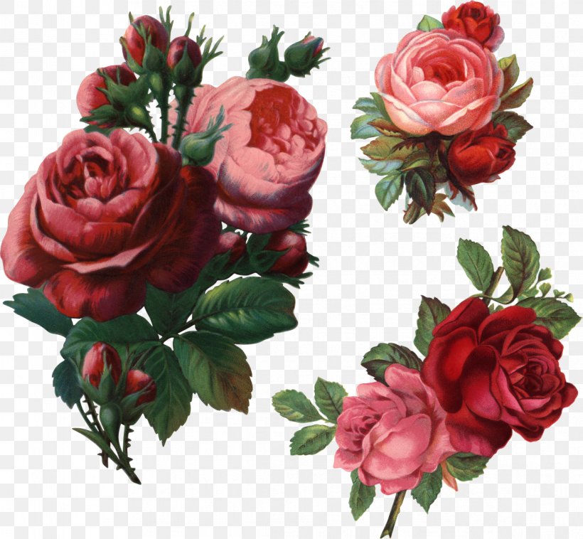 Flower Garden Roses Beach Rose Clip Art, PNG, 1168x1080px, Flower, Artificial Flower, Beach Rose, Cut Flowers, Drawing Download Free