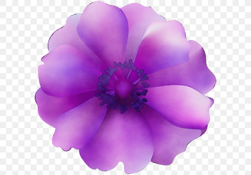 Lavender, PNG, 600x574px, Watercolor, Flower, Flowering Plant, Lavender, Lilac Download Free