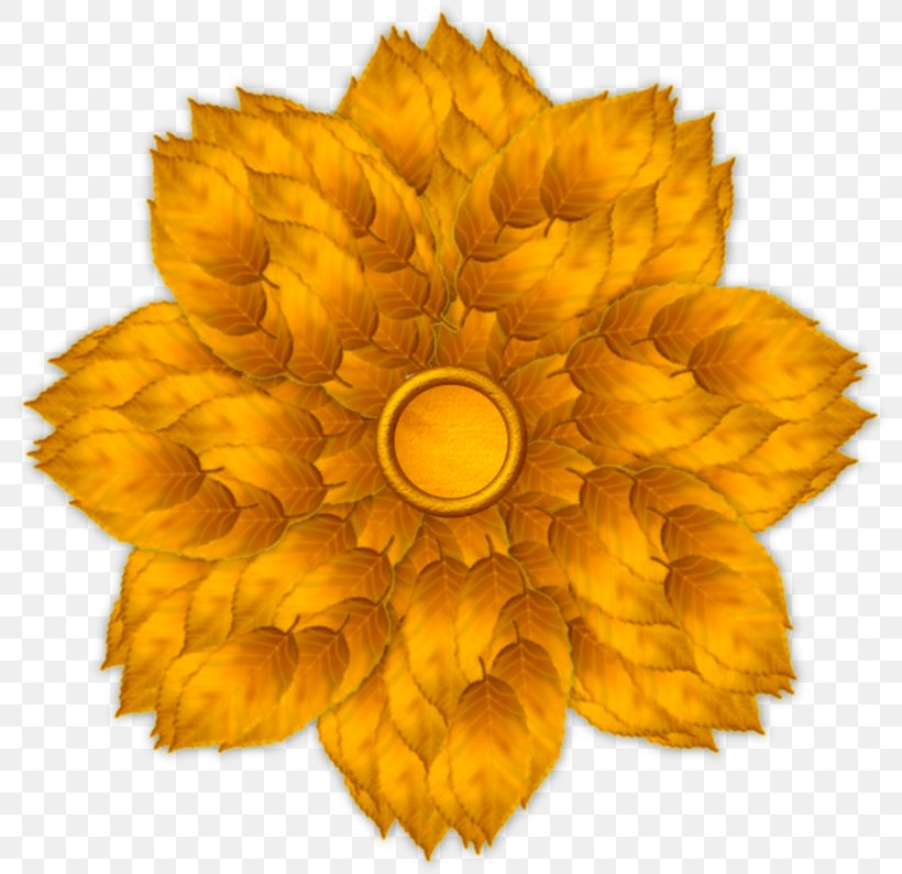 Common Sunflower Petal Leaf Clip Art, PNG, 800x794px, Common Sunflower, Bladnerv, Embroidery, Flower, Flowering Plant Download Free