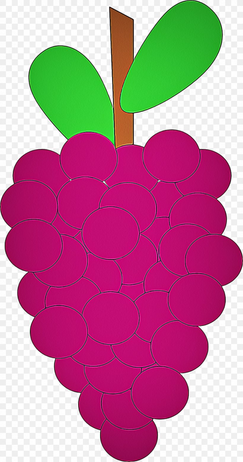 Grape Seedless Fruit Grapevine Family Fruit Clip Art, PNG, 830x1578px, Grape, Berry, Fruit, Grapevine Family, Leaf Download Free