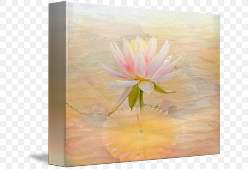 Watercolor Painting Flower Still Life, PNG, 650x560px, Painting, Acrylic Paint, Acrylic Resin, Art, Flora Download Free