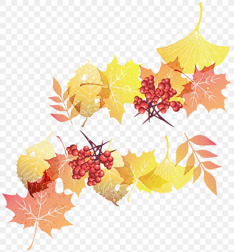 Floral Flower Background, PNG, 2774x3000px, Maple Leaf, Autumn, Black Maple, Branching, Floral Design Download Free