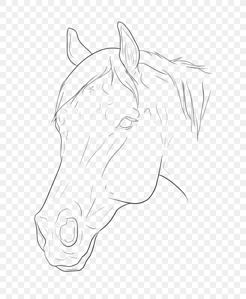 Halter Mustang Pony Snout Rein, PNG, 801x997px, Halter, Arm, Artwork, Black, Black And White Download Free