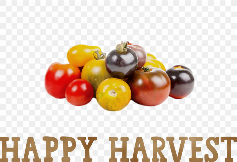 French Fries, PNG, 3000x2056px, Happy Harvest, Cherry Tomatoes, Cooking, Dish, French Fries Download Free