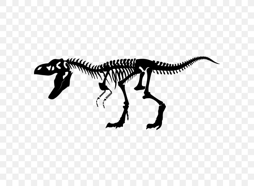 Tyrannosaurus Stegosaurus Triceratops Dinosaur Wall Decal, PNG, 600x600px, Tyrannosaurus, Allosaurus, Animal Figure, Black And White, Bone Download Free
