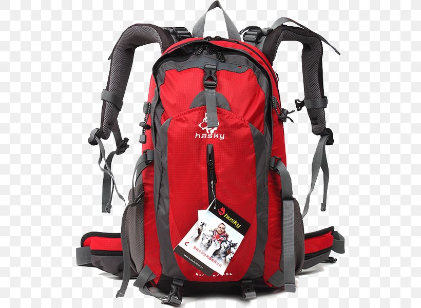 Backpack Amazon.com Mountaineering Bidezidor Kirol Strap, PNG, 526x600px, Backpack, Amazoncom, Backpacking, Bag, Bidezidor Kirol Download Free