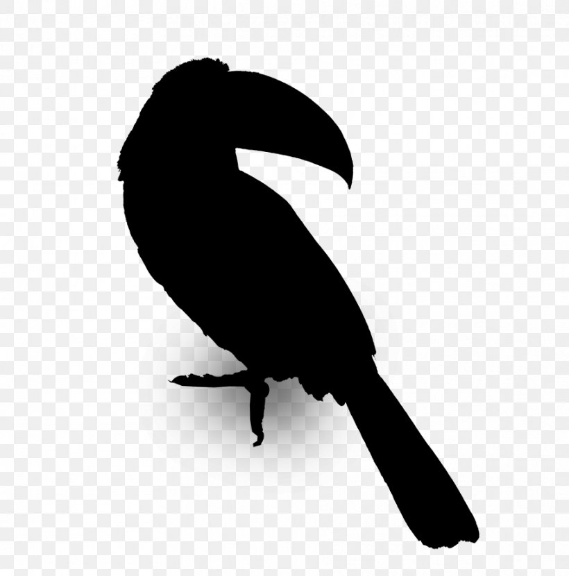 Beak Fauna Silhouette, PNG, 909x921px, Beak, Bird, Coraciiformes, Crow, Crowlike Bird Download Free
