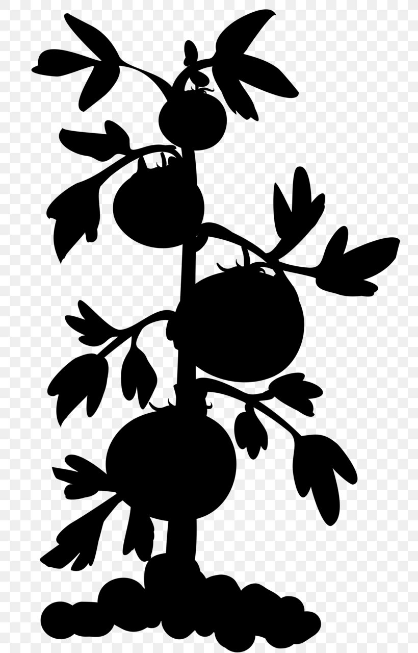 Clip Art Plants Grape Watermelon Fruit, PNG, 754x1280px, Plants, Art, Blackandwhite, Botany, Branch Download Free