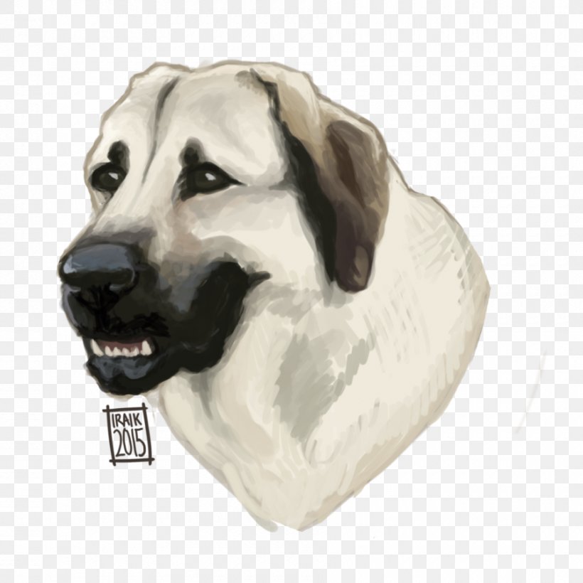 Dog Breed Snout Crossbreed, PNG, 900x900px, Dog Breed, Breed, Carnivoran, Crossbreed, Dog Download Free