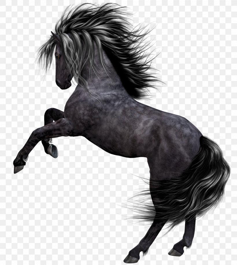 Mustang Akhal-Teke Pony Horses, PNG, 1565x1750px, Akhal Teke, Albom, Animal, Black And White, Bridle Download Free