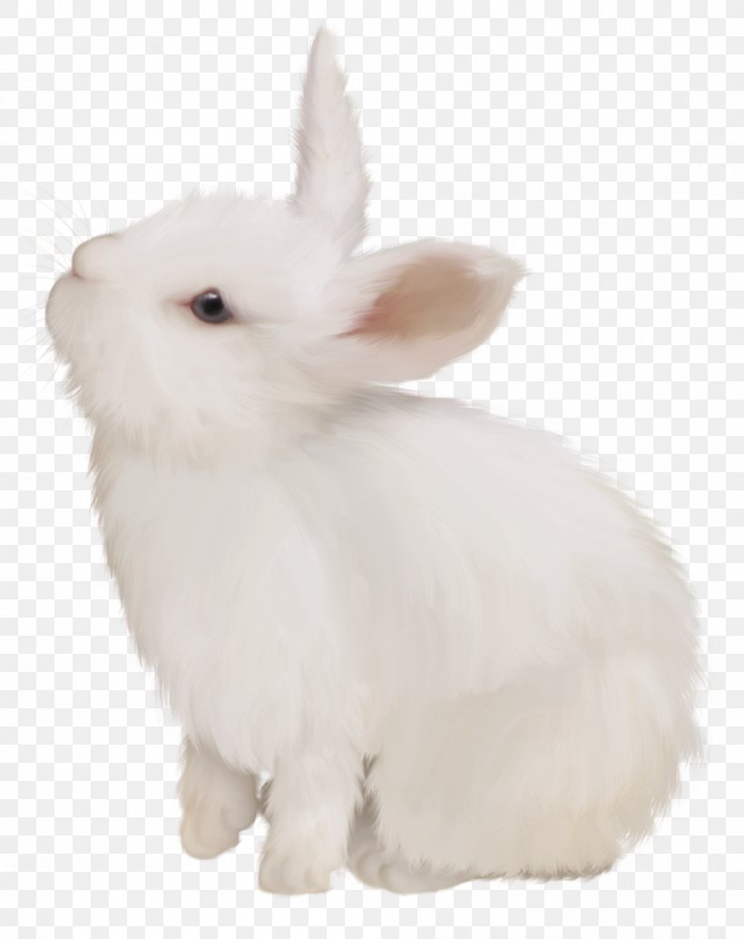 Domestic Rabbit White Rabbit Easter Bunny European Rabbit, PNG, 951x1200px, Domestic Rabbit, Easter Basket, Easter Bunny, Easter Egg, European Rabbit Download Free