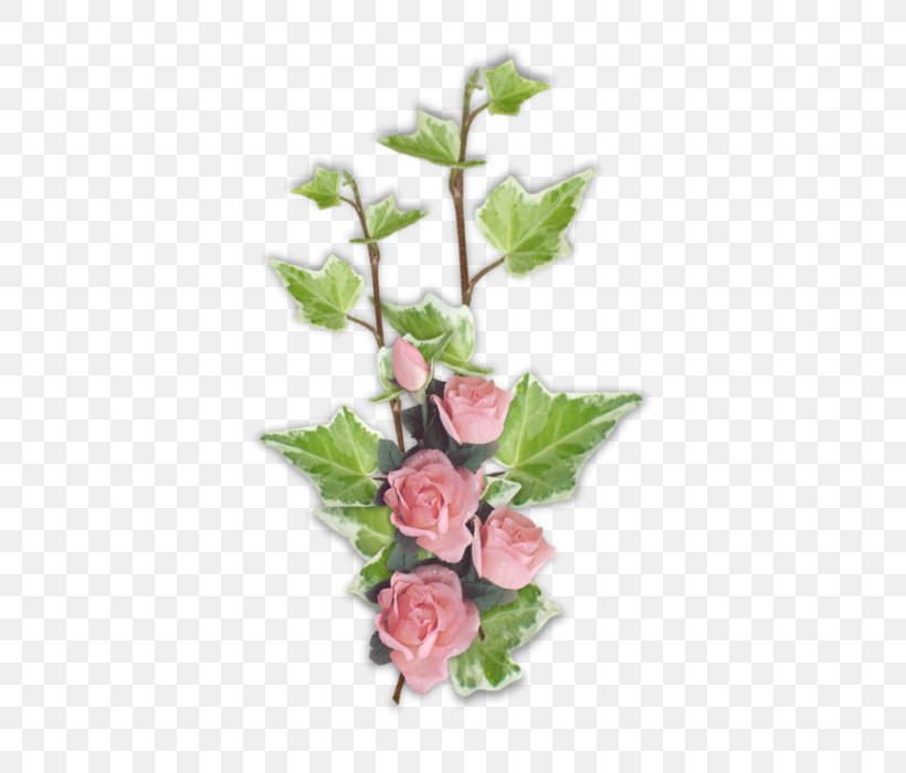 Garden Roses Cut Flowers Floral Design Centifolia Roses, PNG, 600x700px, Garden Roses, Artificial Flower, Blume, Branch, Bud Download Free