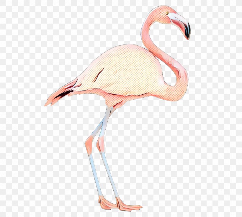Neck Beak, PNG, 1185x1064px, Neck, Beak, Bird, Flamingo, Greater Flamingo Download Free