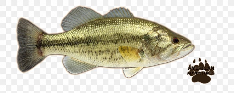Perch Largemouth Bass Smallmouth Bass, PNG, 980x392px, Perch, Animal Figure, Bass, Bass Fishing, Black Basses Download Free