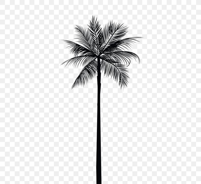 Arecaceae Tree Gold Palm Branch Wall Decal, PNG, 564x752px, Arecaceae, Abziehtattoo, Arecales, Black And White, Borassus Flabellifer Download Free