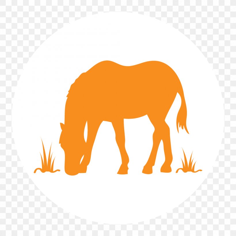 Mustang Noble Street College Prep Mane Pony Noble Network Of Charter Schools, PNG, 1000x1000px, Mustang, Academy, Animal Figure, Carnivoran, Chicago Bulls College Prep Download Free
