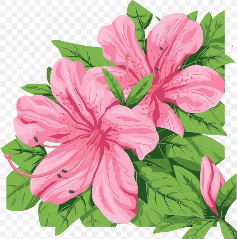 Azalea Rosemallows Clip Art, PNG, 1191x1200px, Azalea, Annual Plant, Can Stock Photo, China Rose, Flower Download Free