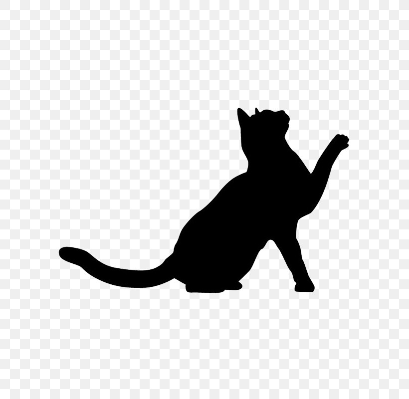 Cat Small To Medium-sized Cats Black White Black Cat, PNG, 800x800px, Cat, Black, Black Cat, Silhouette, Small To Mediumsized Cats Download Free