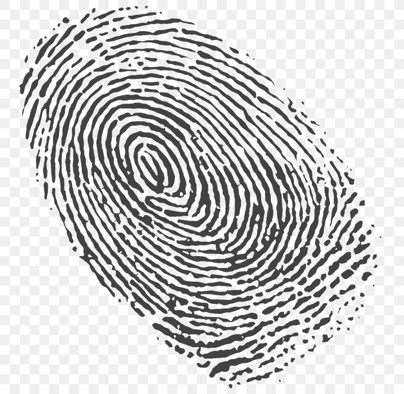 Fingerprint Spiral Clip Art, PNG, 800x800px, Fingerprint, Area, Black And White, Chart, Drawing Download Free