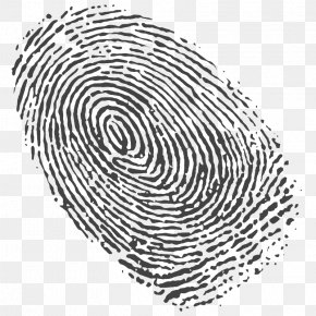 Fingerprint Spiral Logo, PNG, 2493x3094px, Fingerprint, Black And White ...
