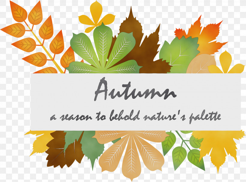 Maple Leaf, PNG, 3000x2225px, Hello Autumn, Autumn, Autumn Background, Flat Design, Gratis Download Free