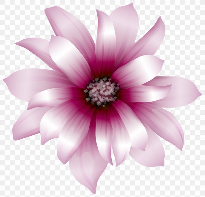 Pink Flowers Clip Art, PNG, 7076x6786px, Pink Flowers, Annual Plant, Blossom, Color, Common Daisy Download Free