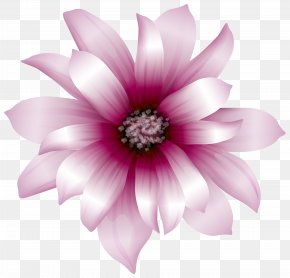 Pink Flowers Clip Art, PNG, 6195x4416px, Flower, Annual Plant, Color