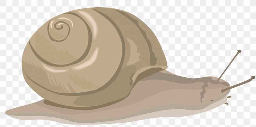 Snail Clip Art, PNG, 2745x1363px, Snail, Animal, Burgundy Snail, Caracol, Cartoon Download Free