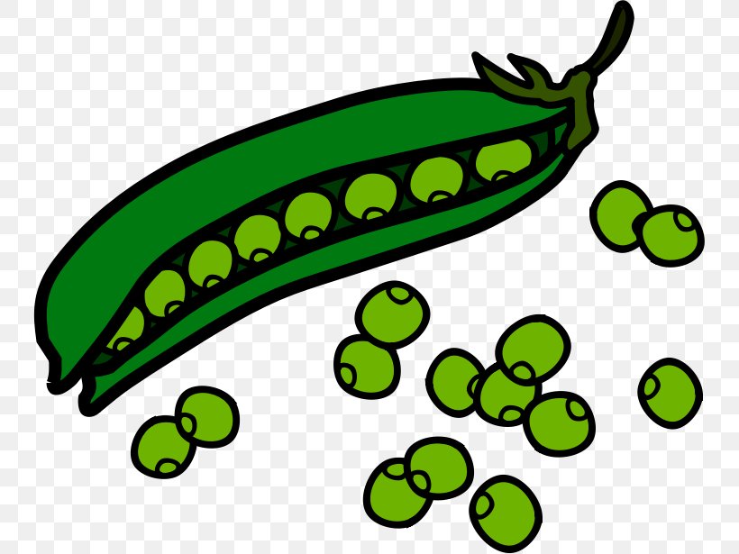 Sweet Pea Vine Clip Art, PNG, 745x615px, Pea, Artwork, Computer, Food, Free Content Download Free
