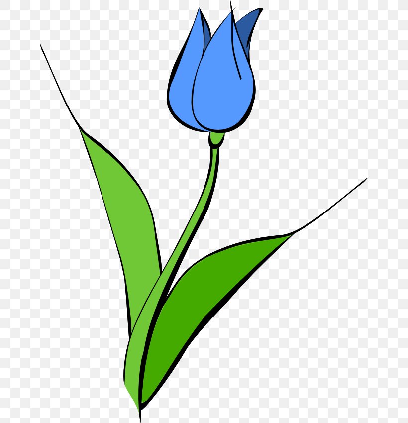 Tulipa Gesneriana Yellow Flower Clip Art, PNG, 659x850px, Tulipa Gesneriana, Area, Drawing, Flora, Flower Download Free