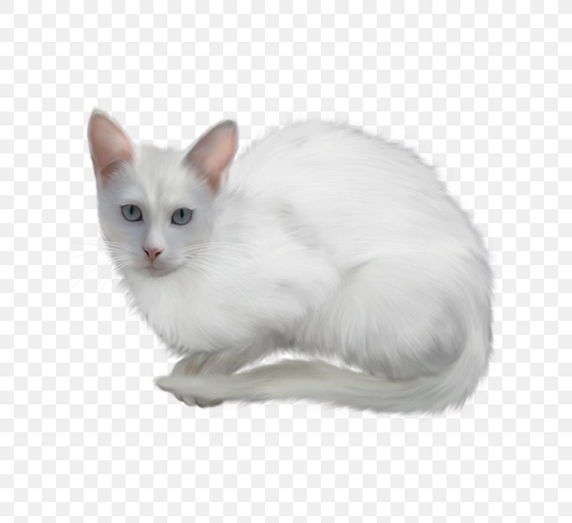 Turkish Angora Clip Art, PNG, 750x750px, Turkish Angora, Aegean Cat, Asian Semi Longhair, Balinese, Burmilla Download Free