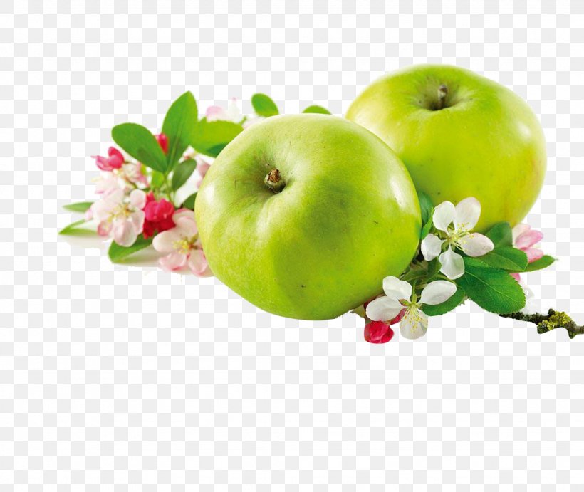 Apple Auglis Flower Food, PNG, 1024x864px, Apple, Auglis, Diet Food, Disease, Eating Download Free