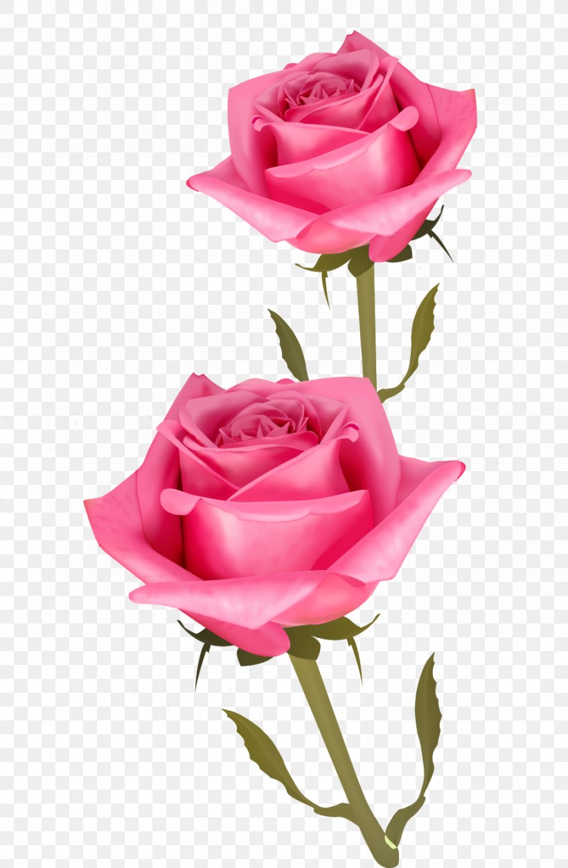Cut Flowers Pink, PNG, 921x1408px, Flower, Beach Rose, Centifolia Roses, China Rose, Cut Flowers Download Free