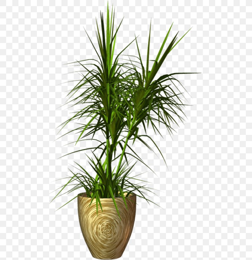 Flowerpot Plant, PNG, 500x848px, Flowerpot, Arecaceae, Arecales, Digital Image, Flower Download Free