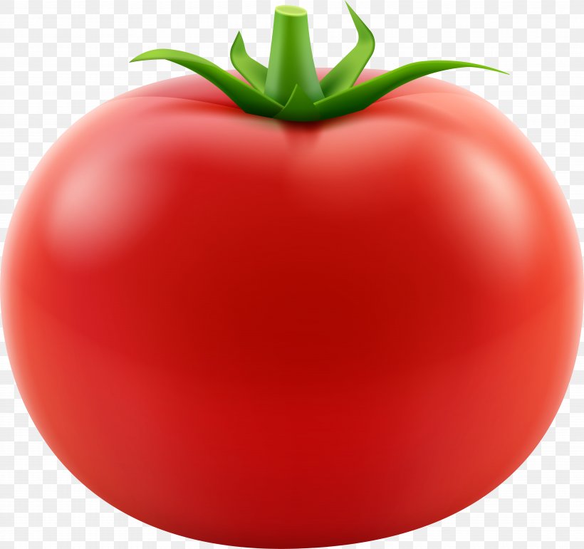 Tomato Juice Food Vegetable Plum Tomato, PNG, 7895x7428px, Tomato, Aubergines, Bush Tomato, Cherry Tomatoes, Food Download Free