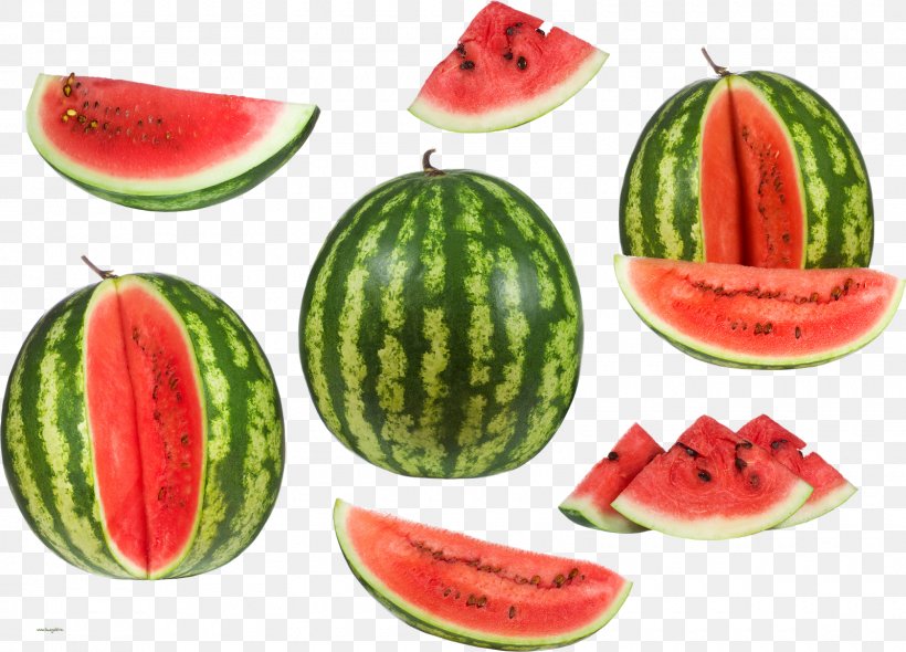 Watermelon Food Auglis White, PNG, 1600x1152px, Watermelon, Auglis, Citrullus, Citrullus Lanatus, Cucumber Gourd And Melon Family Download Free