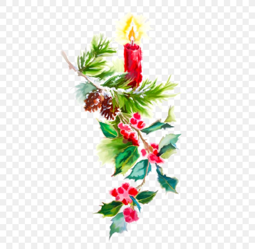 Christmas Tree Branch, PNG, 473x800px, Blog, Aquifoliales, Branch, Candle, Christmas Download Free