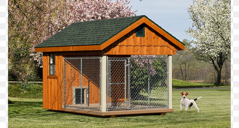 Dog Houses Kennel Cat, PNG, 1073x576px, Dog, Backyard, Building, Cat, Chicken Coop Download Free