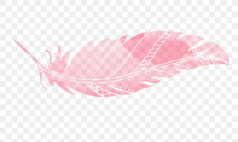 Feather Animal, PNG, 1000x597px, Feather, Animal, Pink, Wing Download Free