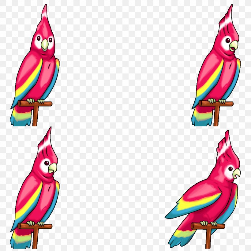 Parrot Beak Clip Art, PNG, 1024x1024px, Parrot, Art, Beak, Bird, Fauna Download Free