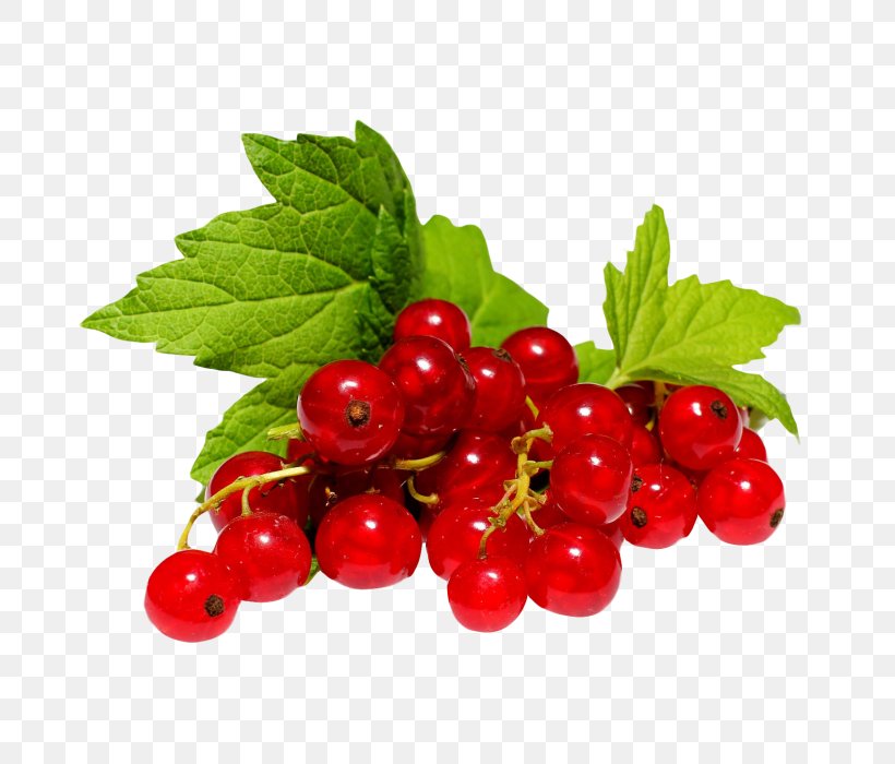 Zante Currant Redcurrant Blackcurrant Berry White Currant, PNG, 700x700px, Zante Currant, Accessory Fruit, Berry, Bilberry, Blackberry Download Free