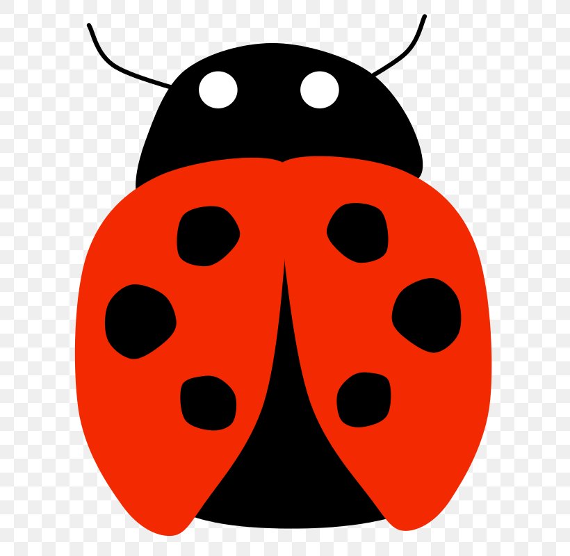 Beetle Sticker Zazzle Seven-spot Ladybird Clip Art, PNG, 654x800px, Beetle, Artwork, Coccinella, Decal, Fruit Download Free