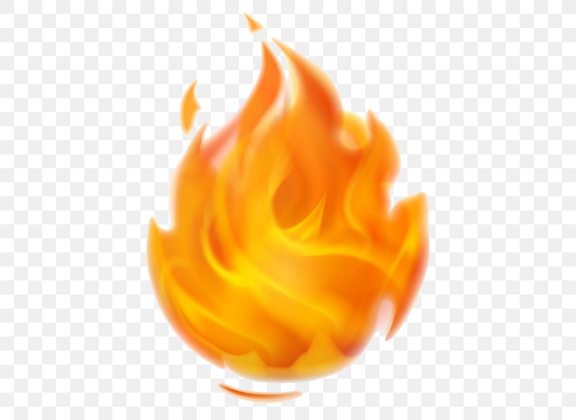 Fire Flame Clip Art, PNG, 434x599px, Fire, Combustion, Document, Flame, Flavor Download Free